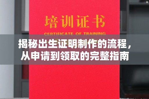 普湾新区揭秘出生证明制作的流程，从申请到领取的完整指南